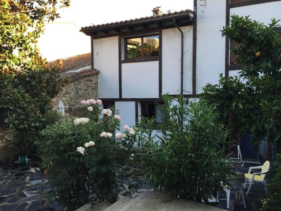 Casa Rural Con Piscina Privada Casar de Palomero Buitenkant foto